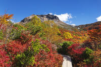 姥ヶ平の紅葉と茶臼岳 [KNO110023205]