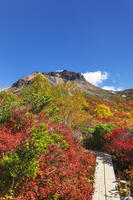 姥ヶ平の紅葉と茶臼岳 [KNO110023207]