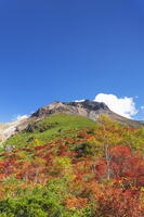 姥ヶ平の紅葉と茶臼岳 [KNO110023212]