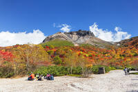 姥ヶ平の紅葉と茶臼岳 [KNO110023213]