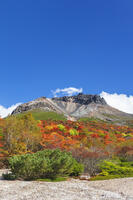 姥ヶ平の紅葉と茶臼岳 [KNO110023215]