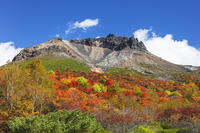 姥ヶ平の紅葉と茶臼岳 [KNO110023216]