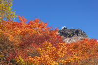 姥ヶ平の紅葉と茶臼岳 [KNO110023218]