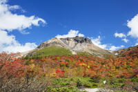 姥ヶ平の紅葉と茶臼岳 [KNO110023220]
