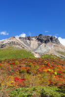 姥ヶ平の紅葉と茶臼岳 [KNO110023221]