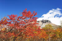 姥ヶ平の紅葉と茶臼岳 [KNO110023222]
