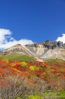 姥ヶ平の紅葉と茶臼岳 [KNO110023226]
