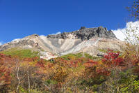 姥ヶ平の紅葉と茶臼岳 [KNO110023227]