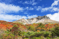 姥ヶ平の紅葉と茶臼岳 [KNO110023229]