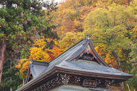 北向観音 [KNO110023543]