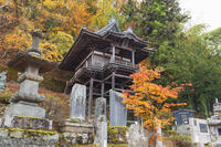 北向観音境内の温泉薬師瑠璃殿 [KNO110023545]