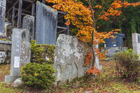 北向観音境内の芭蕉翁句碑 [KNO110023547]