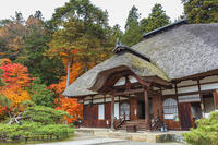 常楽寺本堂と紅葉 [KNO110023555]