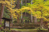 常楽寺石造多宝塔 [KNO110023558]