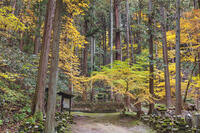 常楽寺石造多宝塔 [KNO110023562]