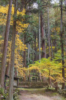 常楽寺石造多宝塔 [KNO110023563]