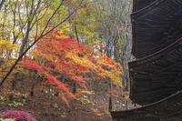 安楽寺八角三重塔 [KNO110023564]