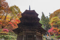 安楽寺八角三重塔 [KNO110023571]