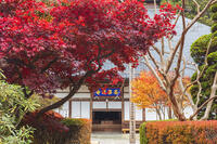 安楽寺本堂 [KNO110023572]