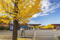 国営昭和記念公園の立川口 [KNO110023574]