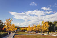 国営昭和記念公園の立川口 [KNO110023575]