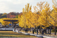 国営昭和記念公園の立川口 [KNO110023578]