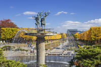 国営昭和記念公園のイチョウ並木 [KNO110023624]