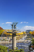 国営昭和記念公園のイチョウ並木 [KNO110023625]