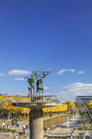 国営昭和記念公園のイチョウ並木 [KNO110023626]