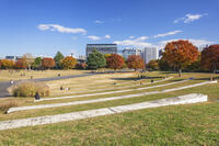 国営昭和記念公園のゆめひろば [KNO110023655]