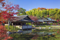 国営昭和記念公園の日本庭園 [KNO110023656]