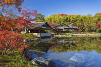 国営昭和記念公園の日本庭園 [KNO110023657]