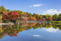 国営昭和記念公園の日本庭園 [KNO110023658]