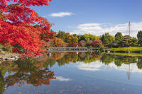 国営昭和記念公園の日本庭園 [KNO110023659]