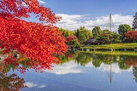 国営昭和記念公園の日本庭園 [KNO110023661]