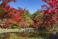 国営昭和記念公園の日本庭園　【画像修正：人物を消去】 [KNO110023664]