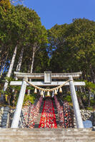 素盞鳴神社雛段飾り [KNO110024369]