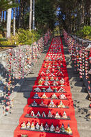素盞鳴神社雛段飾り [KNO110024373]
