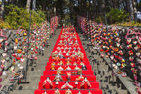 素盞鳴神社雛段飾り [KNO110024376]