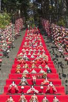 素盞鳴神社雛段飾り [KNO110024377]