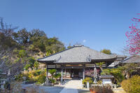 了仙寺 [KNO110024408]