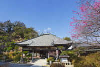 了仙寺 [KNO110024409]