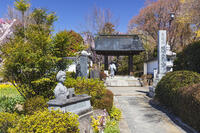 慈雲寺の山門と樋口一葉女史像 [KNO110024715]