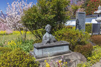 慈雲寺の樋口一葉女史像 [KNO110024718]