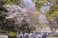 昭和記念公園 [KNO110024764]
