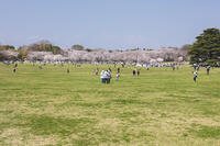 昭和記念公園 [KNO110024767]