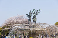 昭和記念公園の噴水 [KNO110024785]