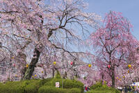 榴岡公園 [KNO110025069]