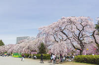 榴岡公園 [KNO110025070]