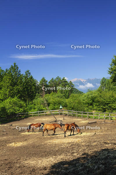 木曽馬の里と御嶽山 [KNO110022720]